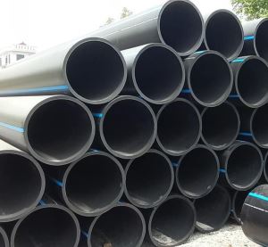 Nhà phân phối cấp 1 Tiền Phong 